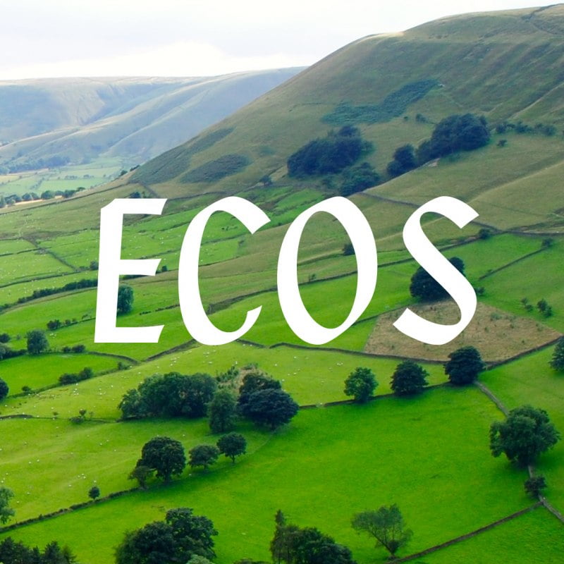 ECOS: A review of conservation
